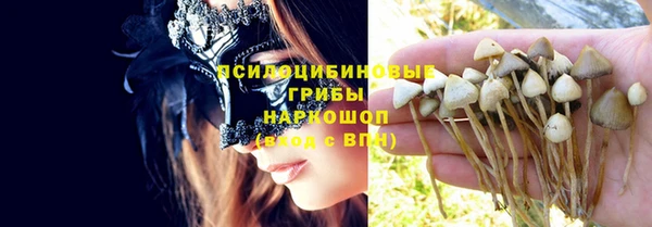 дмт Лагань