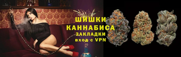 дмт Лагань