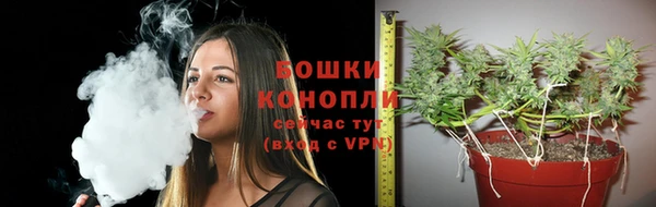 спиды Ессентукская