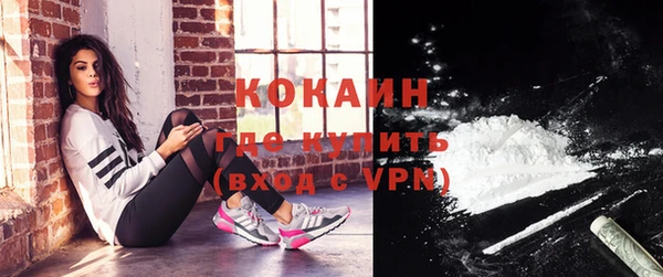 дмт Лагань