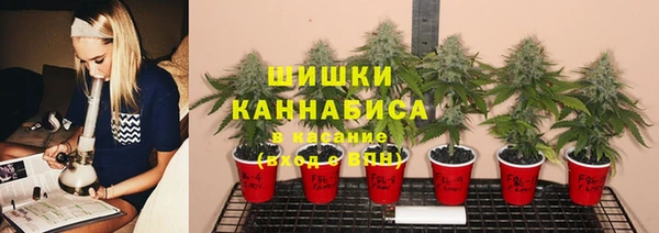 прущий лед Новосибирск