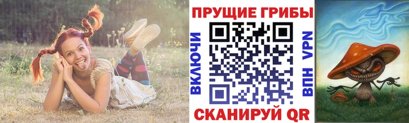 Галлюциногенные грибы Magic Shrooms  Сурск 